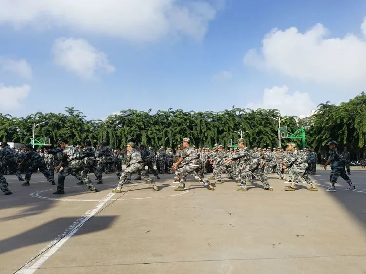 迷彩軍訓(xùn) 青春無(wú)悔