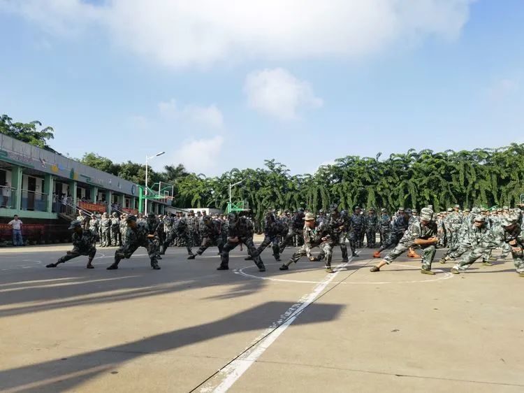 迷彩軍訓(xùn) 青春無(wú)悔