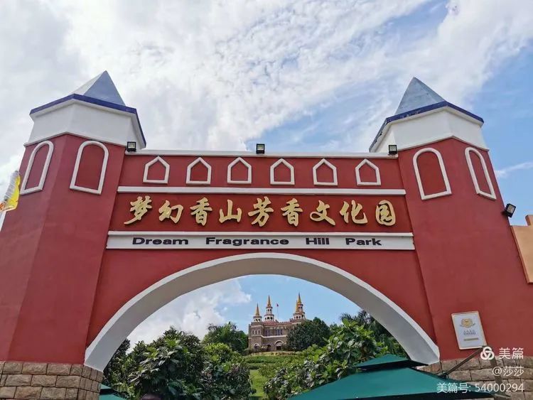 【校園動態(tài)】賞花憶往昔——?？邳S岡金盤高級中學高中部研學之旅
