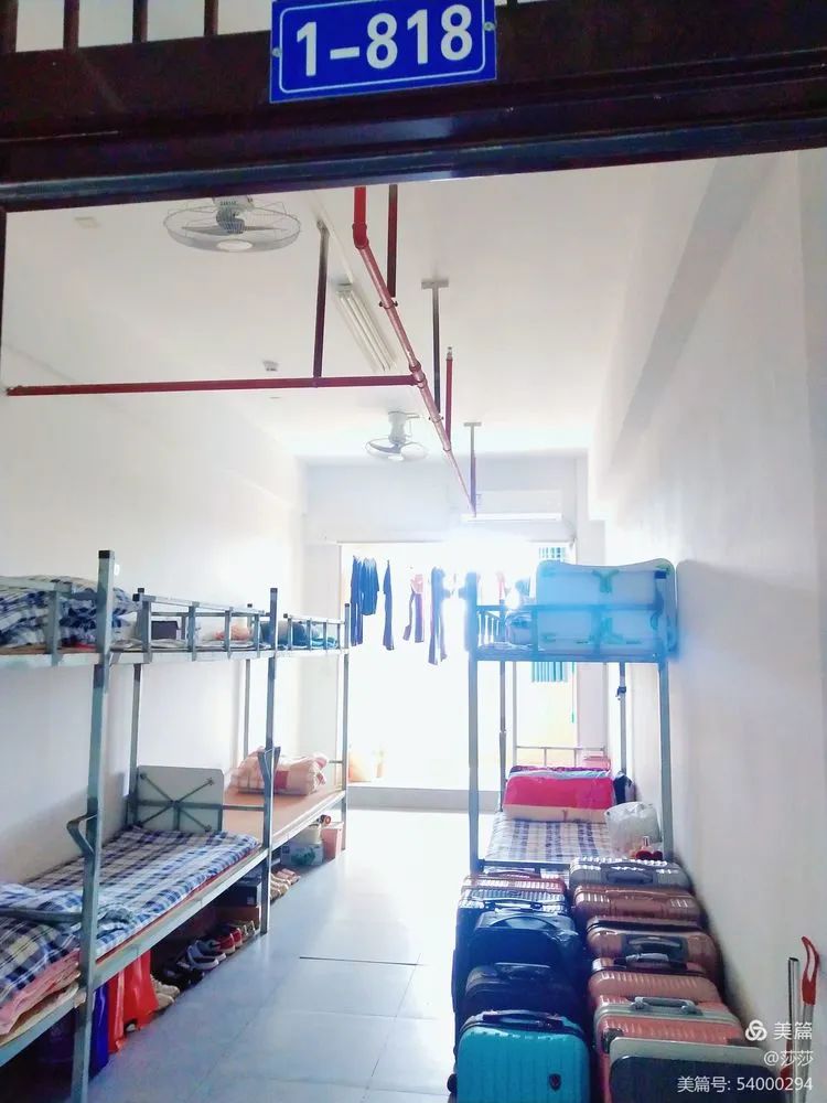 【校園動態(tài)】倡導文明校風 共建文明校園