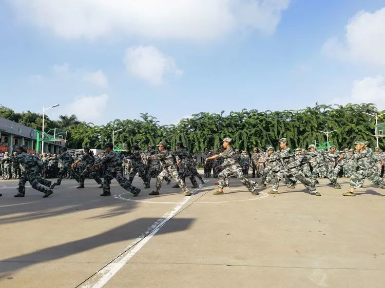 迷彩軍訓(xùn) 青春無(wú)悔